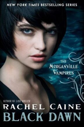 Book Summary Black Dawn
