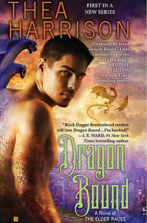 Book Summary Dragon Bound