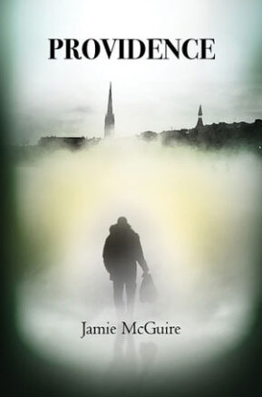 Book Summary Providence