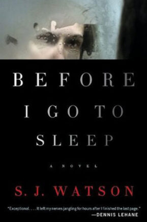 Book Summary Before I Go to Sleep