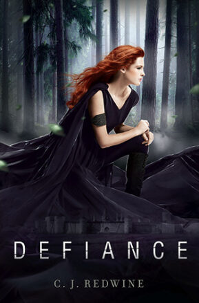 Book Summary Defiance