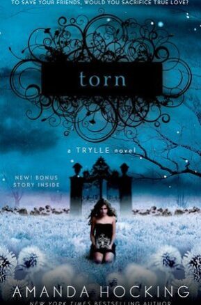 Book Summary Torn