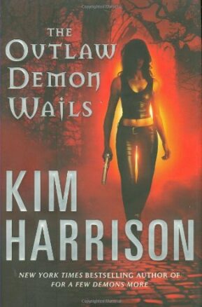 Book Summary The Outlaw Demon Wails