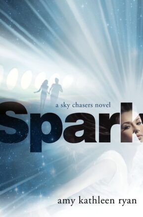 Book Summary Spark