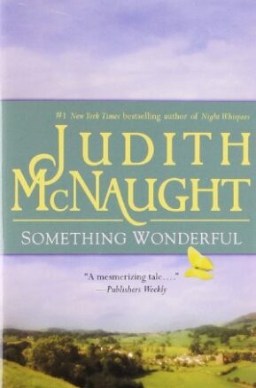 Book Summary Something Wonderful