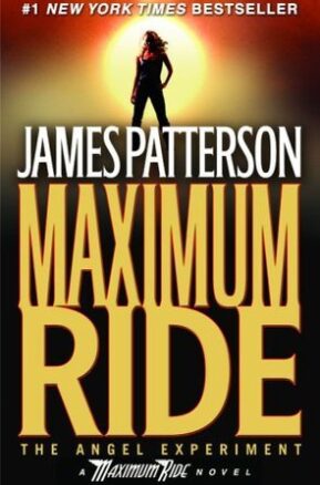 Book Summary The Angel Experiment
