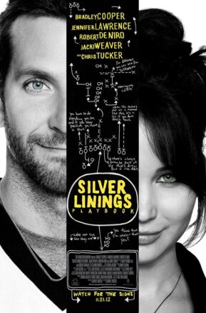 Book Summary The Silver Linings Playbook