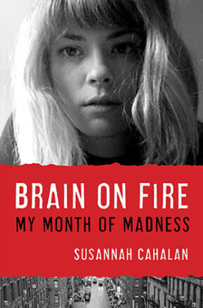 Book Summary Brain on Fire: My Month of Madness
