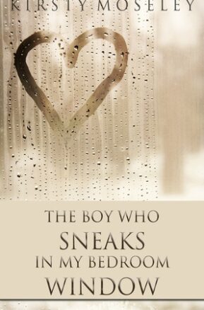 Book Summary The Boy Who Sneaks in My Bedroom Window