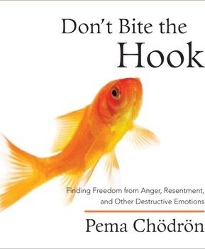 Book Summary Don't Bite the Hook: Finding Freedom from Anger, Resentment, and Other Destructive Emotions