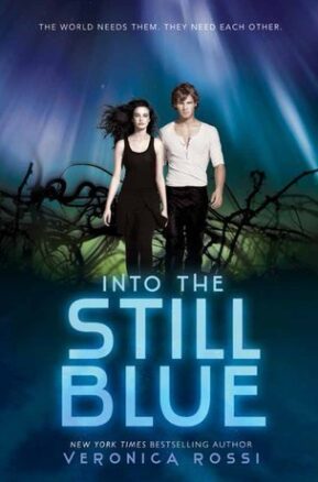 Book Summary Into the Still Blue