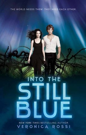 Book Summary Into the Still Blue
