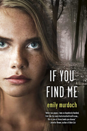 Book Summary If You Find Me
