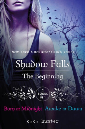 Book Summary The Beginning: Born at Midnight and Awake at Dawn