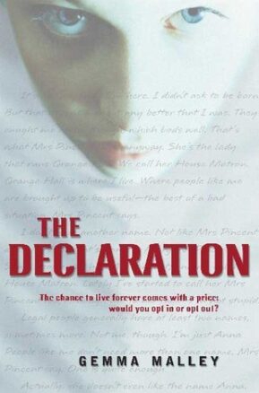 Book Summary The Declaration