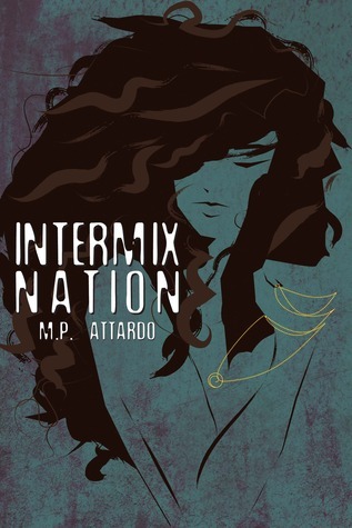 Book Summary Intermix Nation