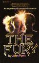 Book Summary The Fury