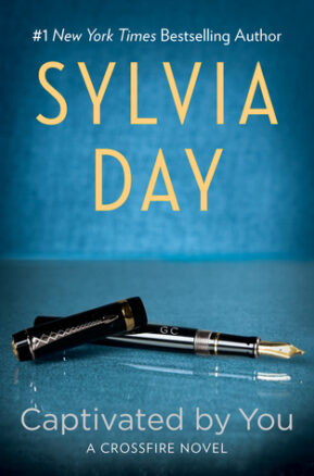 Book Summary Captivated by You