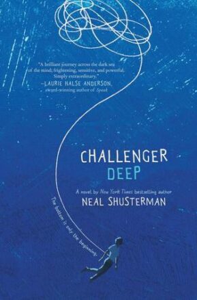 Book Summary Challenger Deep