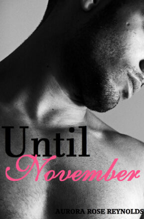 Book Summary Until November