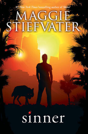 Book Summary Sinner