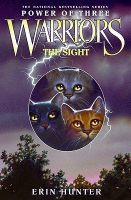 Book Summary The Sight