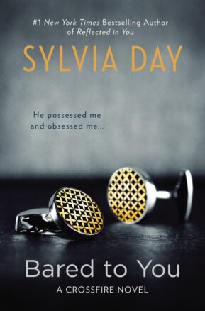 Book Summary Bared to You