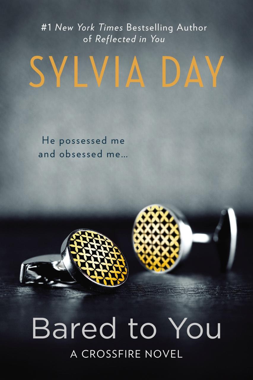 Book Summary Bared to You