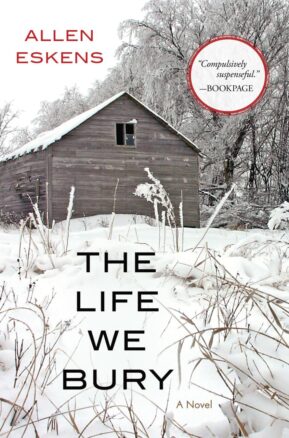 Book Summary The Life We Bury