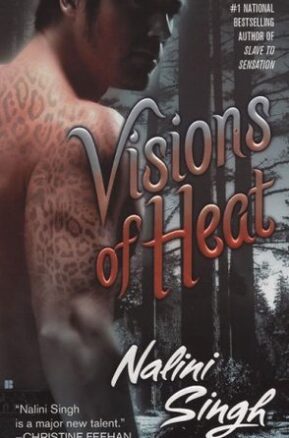 Book Summary Visions of Heat