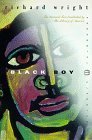 Book Summary Black Boy