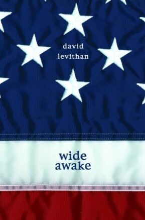 Book Summary Wide Awake