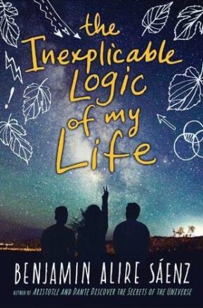 Book Summary The Inexplicable Logic of My Life