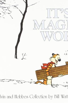 Book Summary It's a Magical World