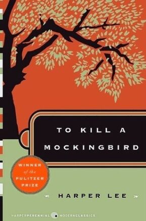 Book Summary To Kill a Mockingbird