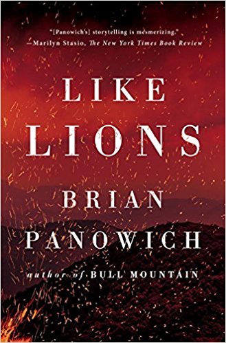 Book Summary Like Lions