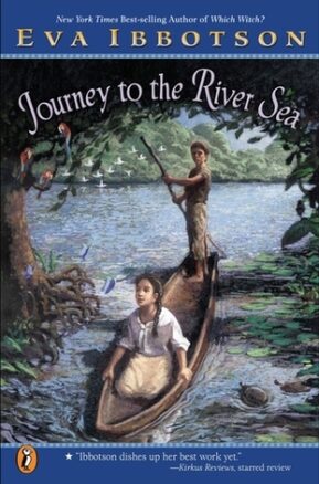 Book Summary Journey to the River Sea