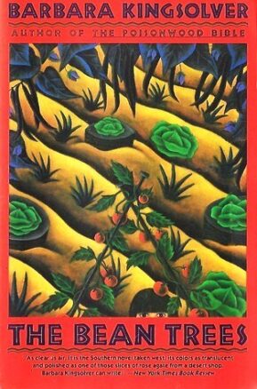 Book Summary The Bean Trees