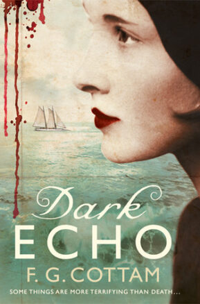 Book Summary Dark Echo
