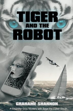 Book Summary Tiger and the Robot