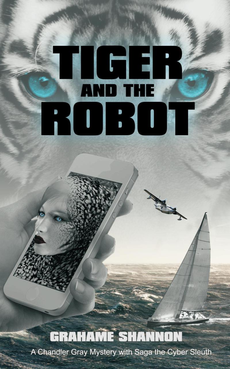 Book Summary Tiger and the Robot