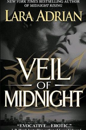 Book Summary Veil of Midnight