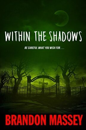 Book Summary Within the Shadows