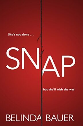 Book Summary Snap