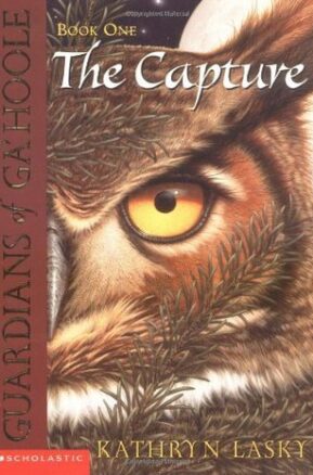 Book Summary The Capture