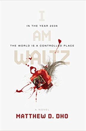 Book Summary I Am Waltz