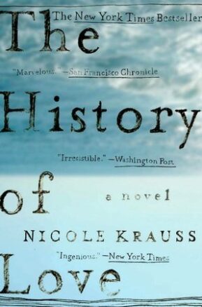 Book Summary The History of Love