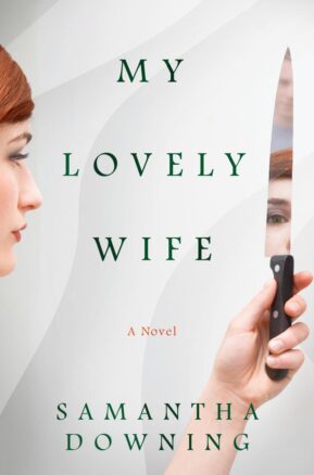 Book Summary My Lovely Wife