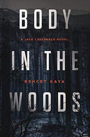 Book Summary Body In The Woods