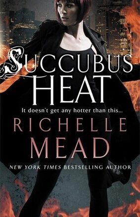 Book Summary Succubus Heat